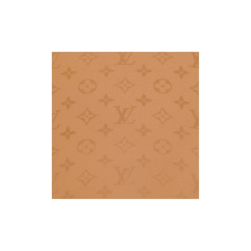 LOUIS VUITTON Fortune Cookie Brown-6