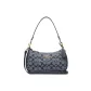 Bag+Dust Bag