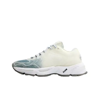DIOR CD1 Gradient Blue