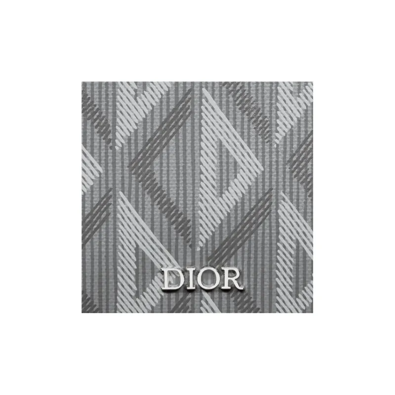 DIOR Canvas Messenger Bag, Shoulder Bag, Crossbody Bag Men's Gray-5