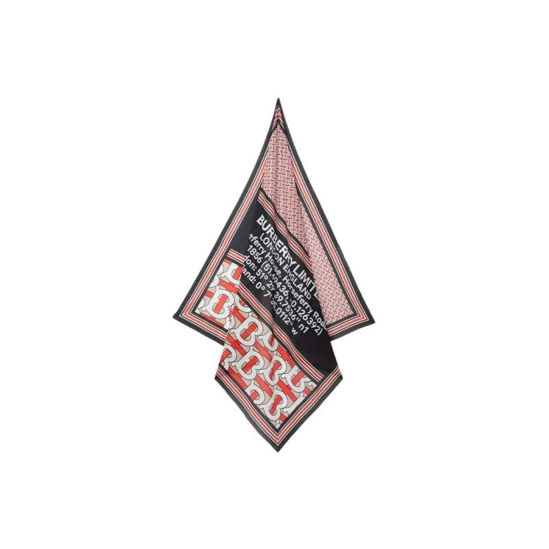 Burberry Knit Scarves Unisex Multicolor-1