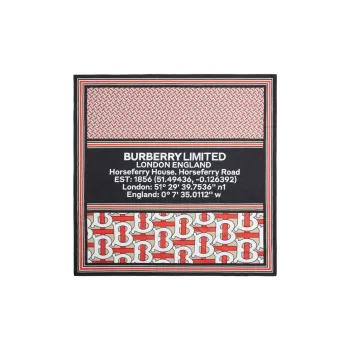 Burberry Knit Scarves Unisex Multicolor