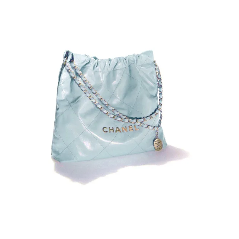 CHANEL 23C Early Spring Shoulder Bags-1