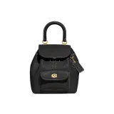 Bag+Dust Bag