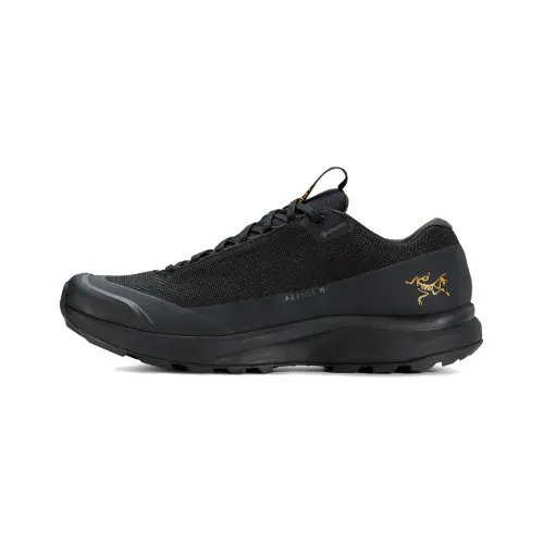 Male Arcteryx  Outdoor functional shoes