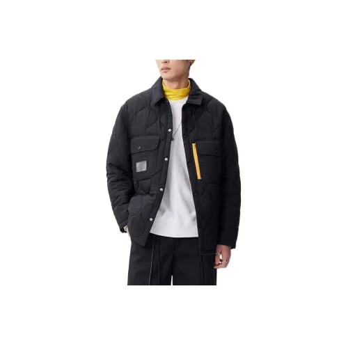 Dickies Puffer Jackets Unisex Black