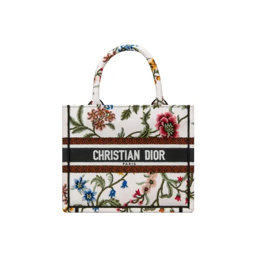 DIOR BookTote Handbags