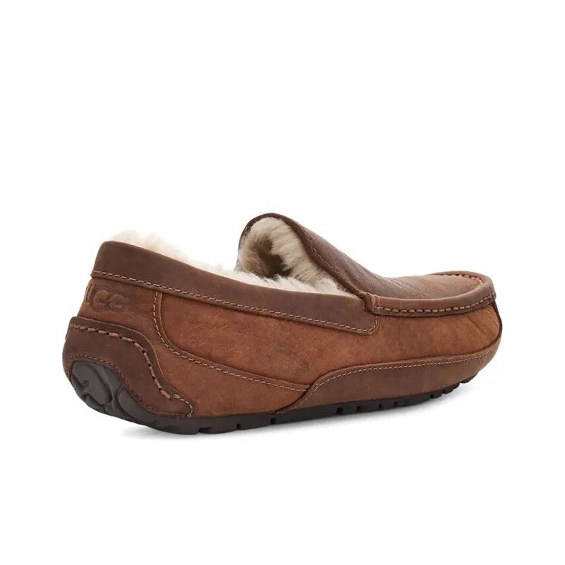 UGG Ascot Beanie Shoes Men's Brown-4
