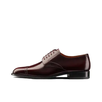 DIOR Timeless Dress Shoes Men Low-Top Burgundy