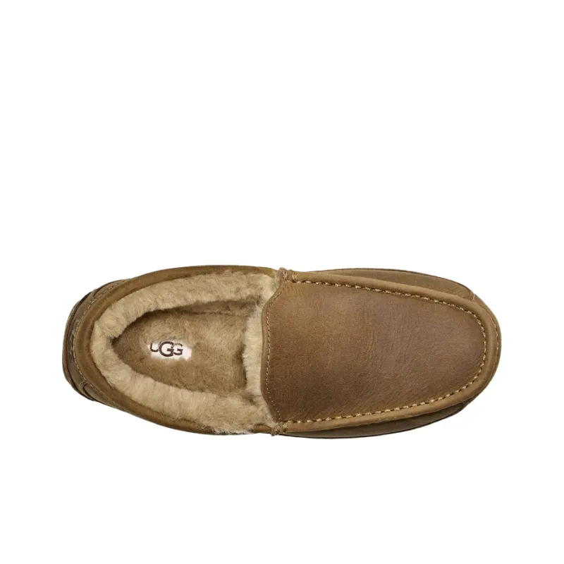 UGG Ascot Matte Slipper Tan-4