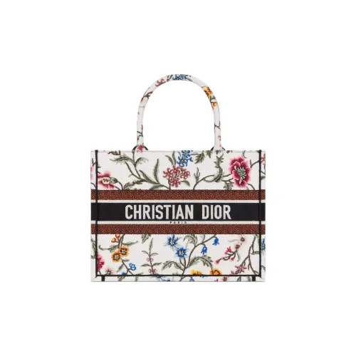 DIOR BookTote Handbags