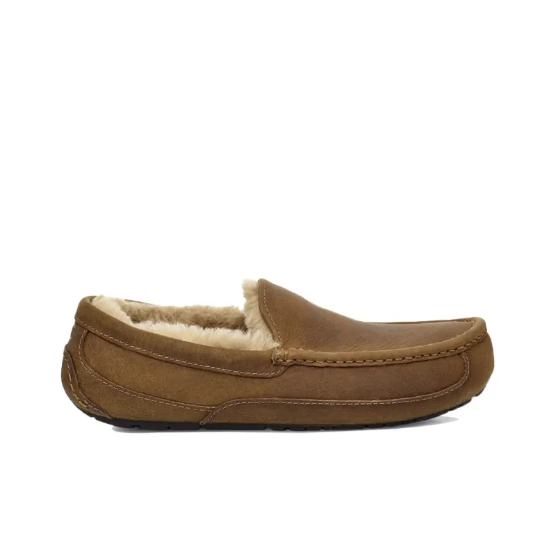 UGG Ascot Matte Slipper Tan-1