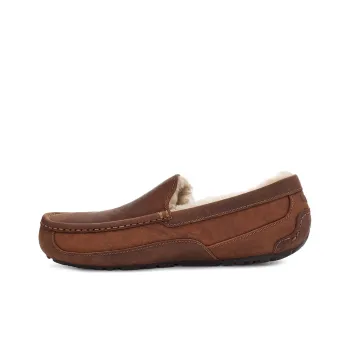 UGG Ascot Beanie Shoes Men's Brown