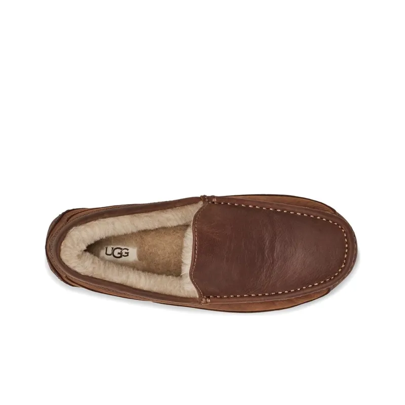UGG Ascot Beanie Shoes Men's Brown-3