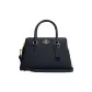 Bag+Dust Bag