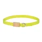 Neon Yellow