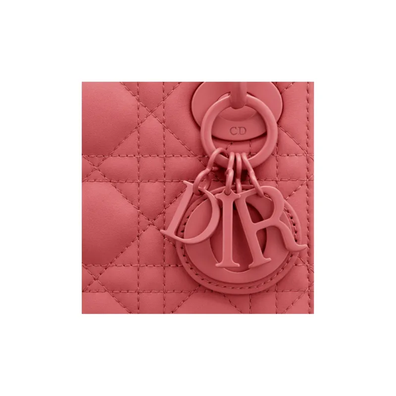 DIOR Lady DIOR Handbags-4