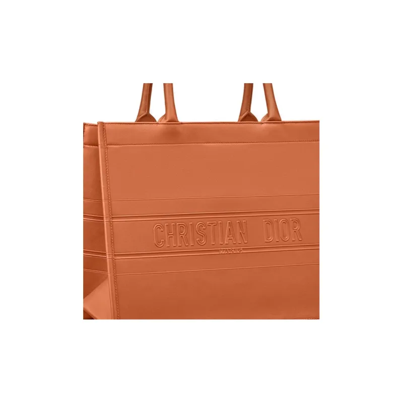 DIOR BookTote Handbags-3