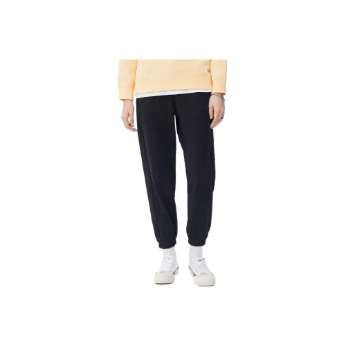 Dickies Knitted Sweatpants Women's Black