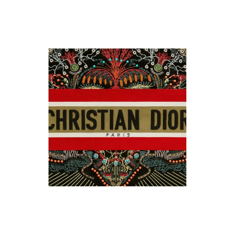 DIOR BookTote Handbags-3