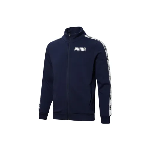 PUMA Jackets Men Tweed Blue