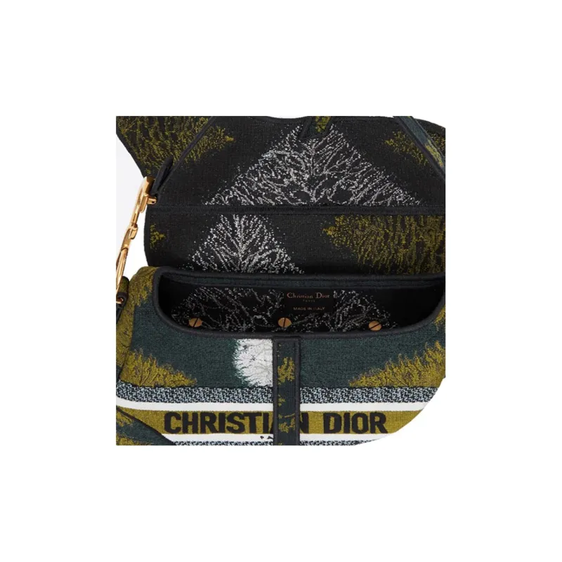 DIOR Saddle Handbags-4