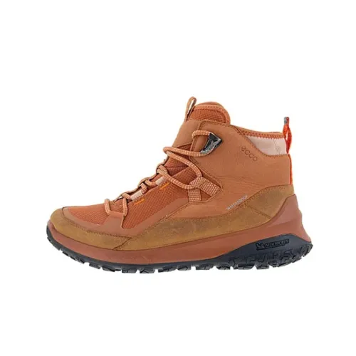 Ecco Lifestyle Shoes Women's High-Top Pumpkin Brown