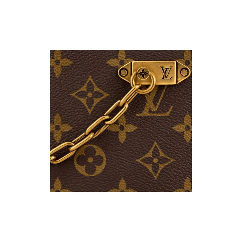 LOUIS VUITTON Chain Clutch Monogram Legacy Brown-4