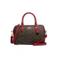 Bag+Dust Bag