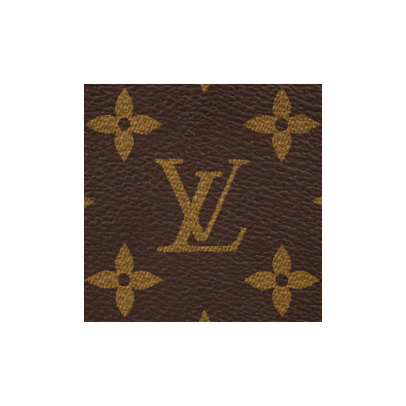 LOUIS VUITTON Christopher Bumbag Monogram Brown-4