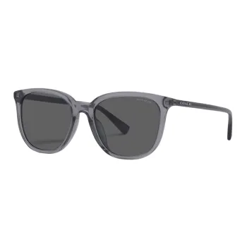 COACH Plate Frame Oval Sunglasses Men's