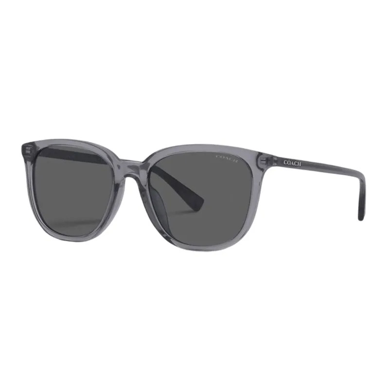 COACH Plate Frame Oval Sunglasses Men's-0