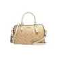 Bag+Dust Bag