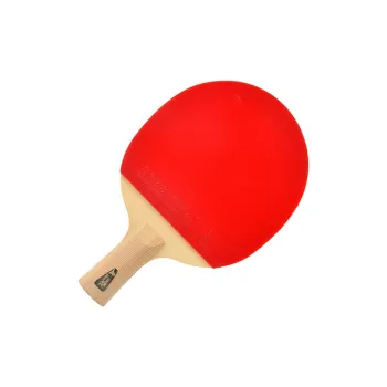 DOUBLE FISH Ping Pong Paddles