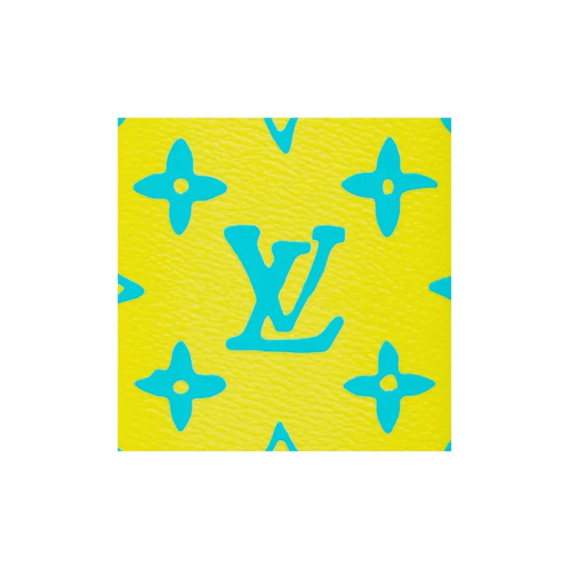 LOUIS VUITTON Organizer Pocket Lime-5