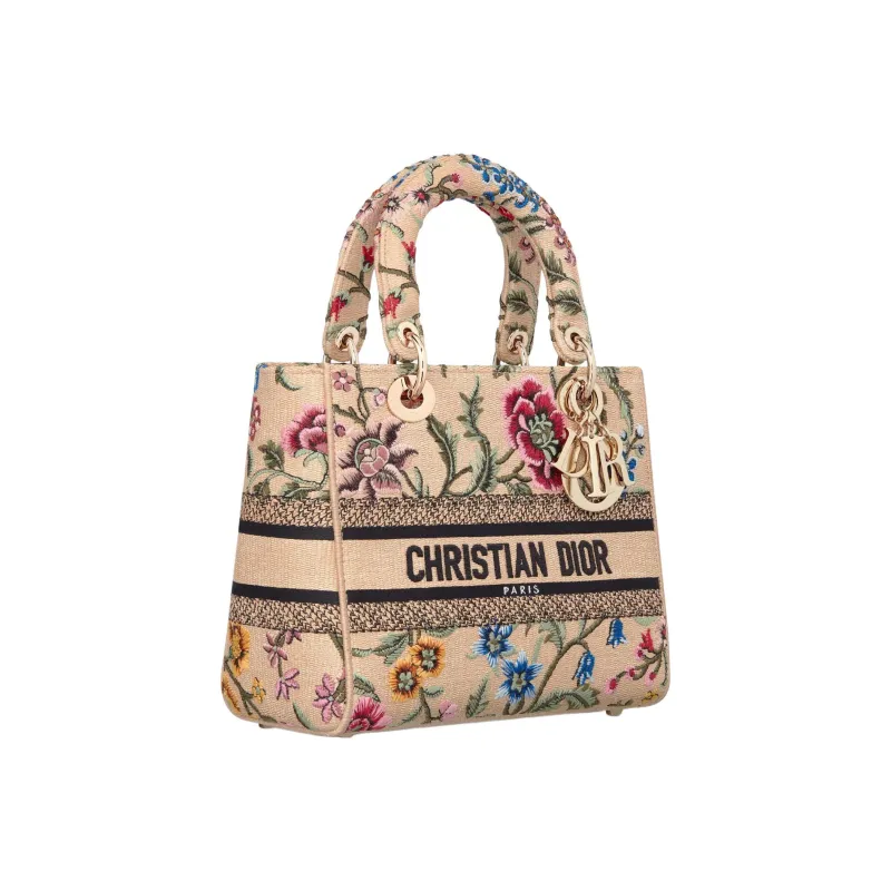 DIOR Lady D-Lite Handbags-1