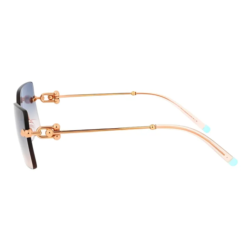 TIFFANY & CO. Rectangle Frame Sunglasses-2