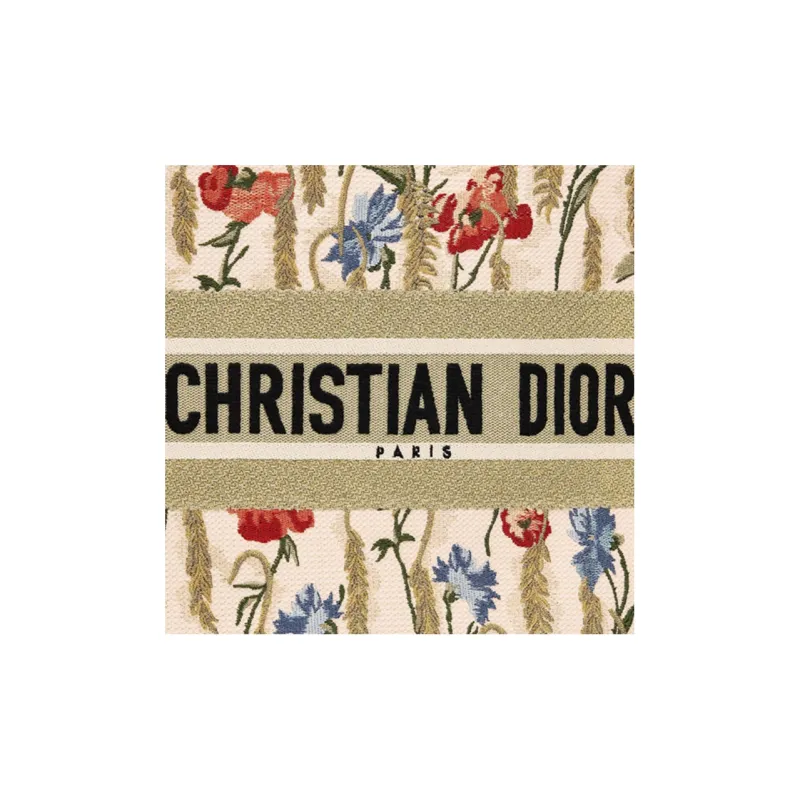 DIOR BookTote Handbags-3