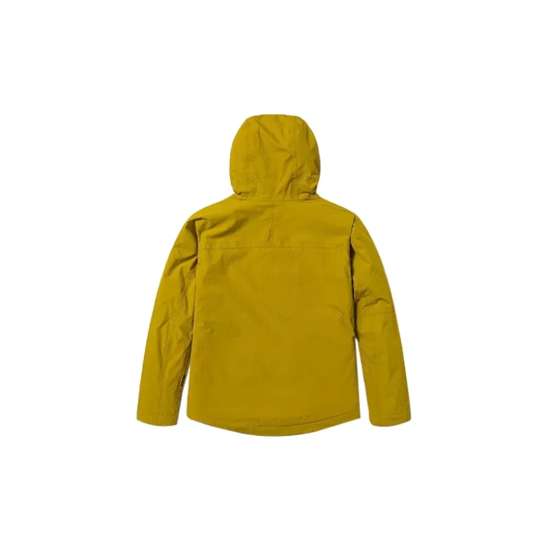 Timberland Jackets Women's Gold Palm-1