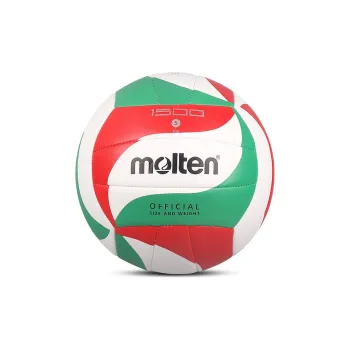 Molten Volleyball