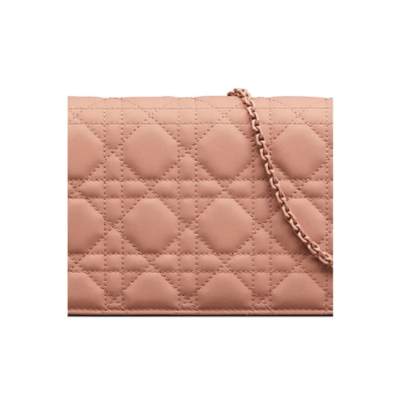 DIOR Shoulder Bags-6