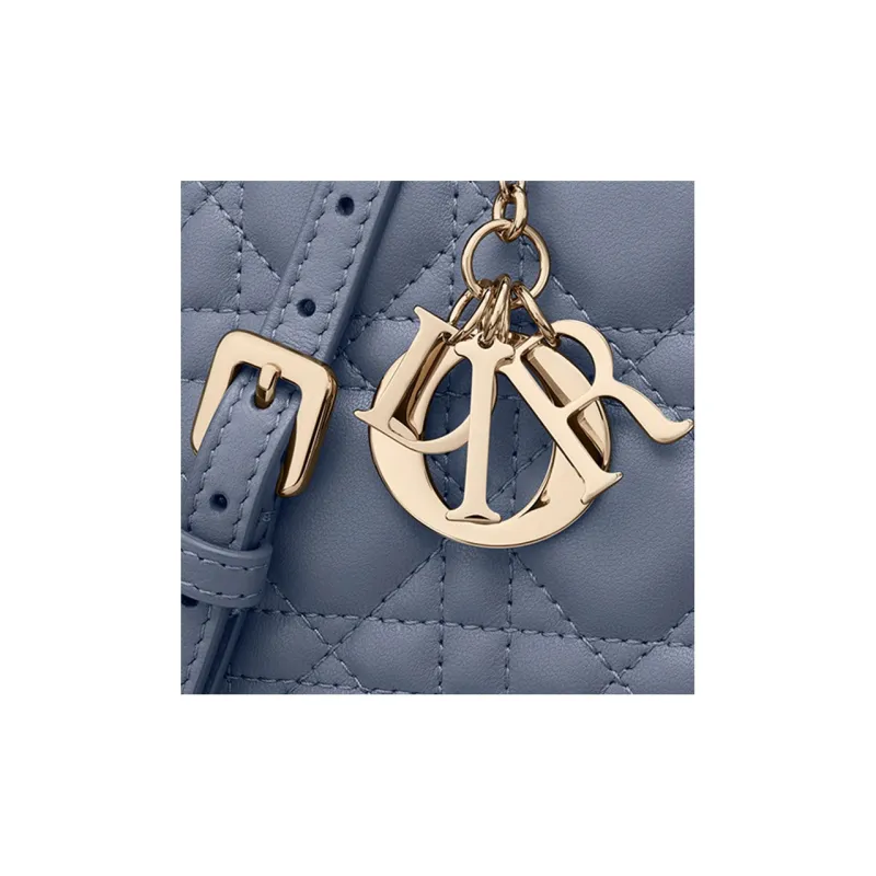 DIOR Lady DIOR Shoulder Bags-5