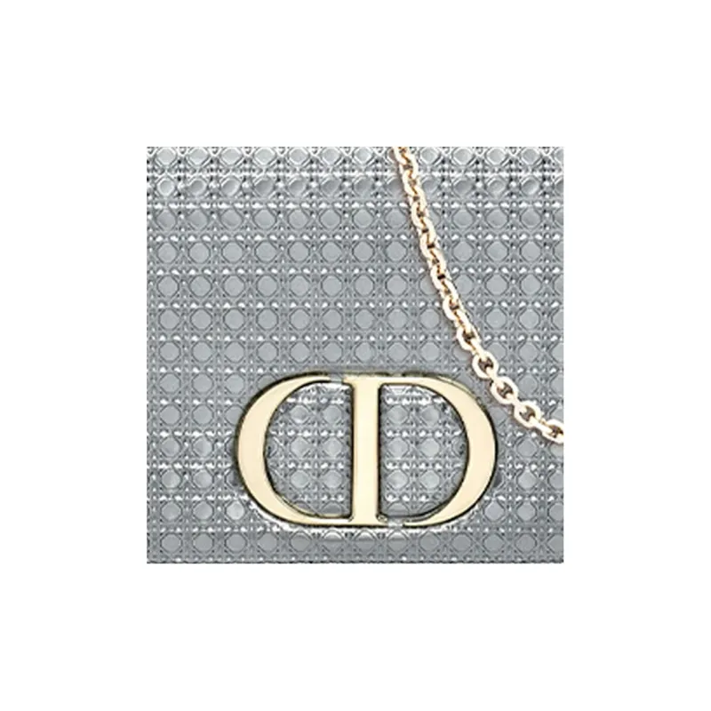 DIOR Fanny Packs-4