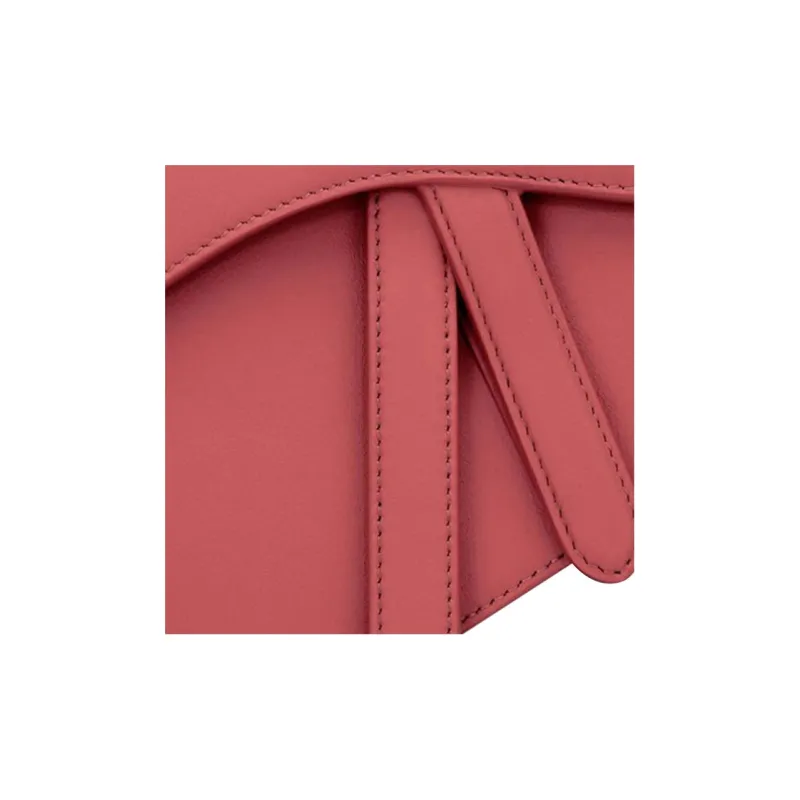 DIOR Saddle Handbags-4
