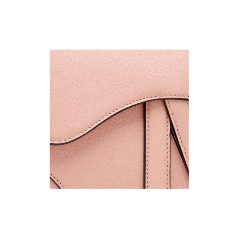 DIOR Saddle Handbags-4