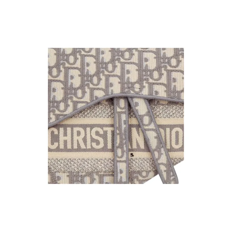 DIOR Saddle Bag Gray DIOR Oblique Embroidery-4