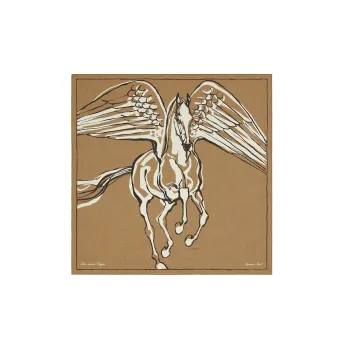 HERMES Shawls Women's Caramel