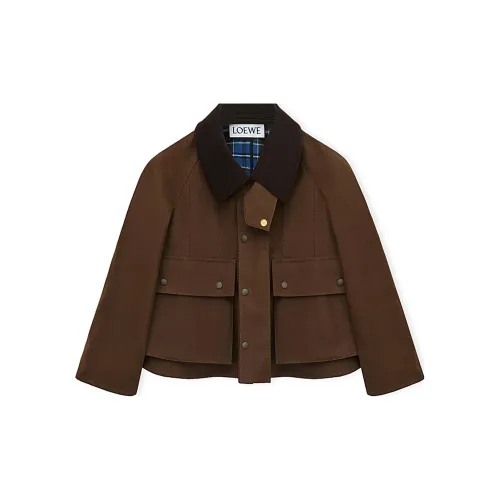 LOEWE Coats Women's Khaki Brown