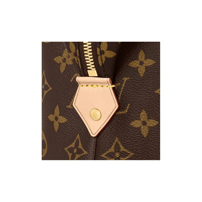LOUIS VUITTON Cosmetic Pouch Gm Monogram-5