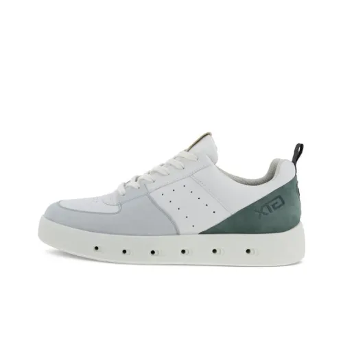 Male ecco Street 720 Series Skate shoes